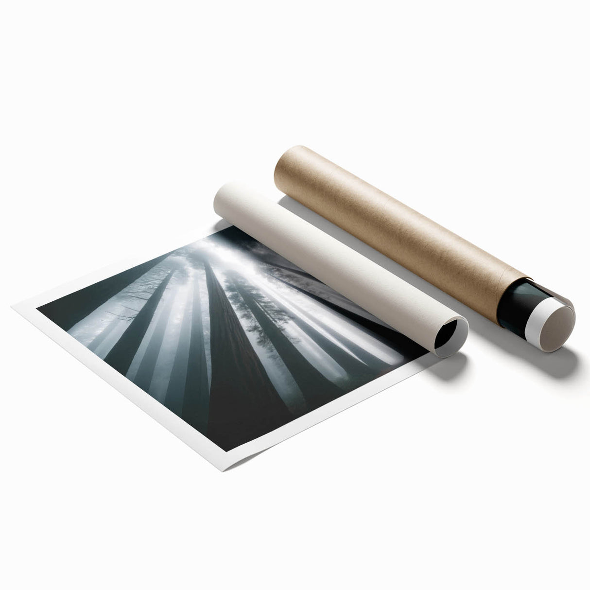 Artistic rolled print showcasing a vibrant botanical design featuring redwood trees, ideal for nature enthusiasts, packaged in a protective cardboard tube.