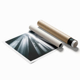 Artistic rolled print showcasing a vibrant botanical design featuring redwood trees, ideal for nature enthusiasts, packaged in a protective cardboard tube.