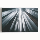 Vibrant botanical wall art canvas featuring redwood trees in a serene natural setting, ideal for home decor enthusiasts seeking nature-inspired designs.