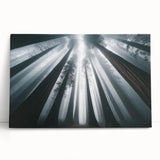 Vibrant botanical wall art featuring redwood trees against a textured background, presented on a stretched canvas, ideal for adding a nature-inspired touch to any room.