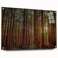 Acrylic glass wall art showcasing a vibrant botanical design featuring redwood trees, displayed from the side with elegant pins, perfect for nature lovers' decor.