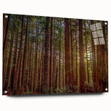 Acrylic glass wall art showcasing a vibrant botanical design featuring redwood trees, displayed from the side with elegant pins, perfect for nature lovers' decor.