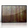 Framed wall art featuring a botanical design of redwood trees, presented in an elegant black frame with a sleek acrylic surface, ideal for nature-themed decor.