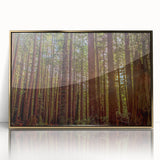 Framed wall art featuring a botanical design of vibrant redwood trees, elegantly displayed with a gold-accented frame, perfect for nature-inspired decor.