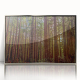 Framed wall art featuring a botanical design of redwood trees, showcasing intricate details and vibrant colors, with a sleek silver frame, perfect for nature-inspired decor.
