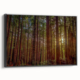 Framed wall art showcasing a botanical design of redwood trees, featuring vibrant colors and intricate details, with a sleek black frame adding elegance to any decor.