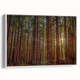Framed canvas wall art showcasing a vibrant botanical design of redwood trees, set against a white background, highlighting nature's beauty in home decor.