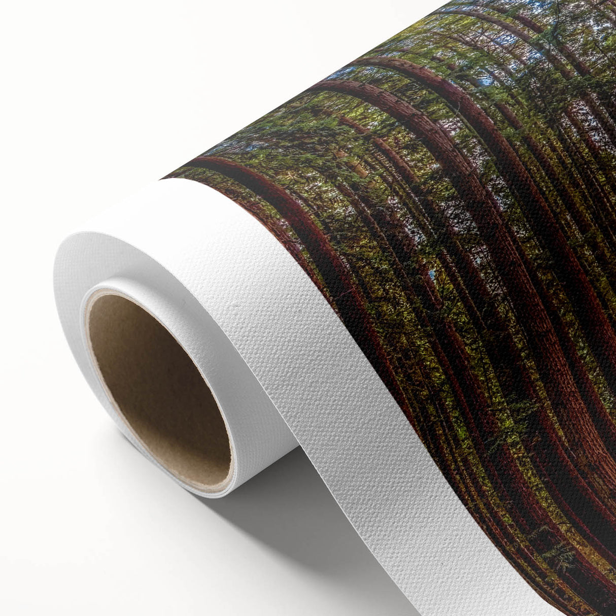 Rolled canvas showcasing a botanical design of redwood trees, featuring vibrant green foliage and intricate details, ideal for nature-inspired decor.