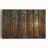 Stretched canvas wall art featuring a vibrant botanical design of redwood trees, showcasing intricate details and rich colors, perfect for nature-themed decor.