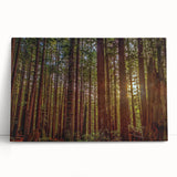 Vibrant stretched canvas wall art depicting a botanical design of redwood trees, showcasing intricate details and rich green hues, perfect for nature-inspired decor.