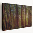 Stretched canvas wall art showcasing a vibrant botanical design with redwood trees, featuring rich green and earthy tones. Ideal for nature enthusiasts and home decor.