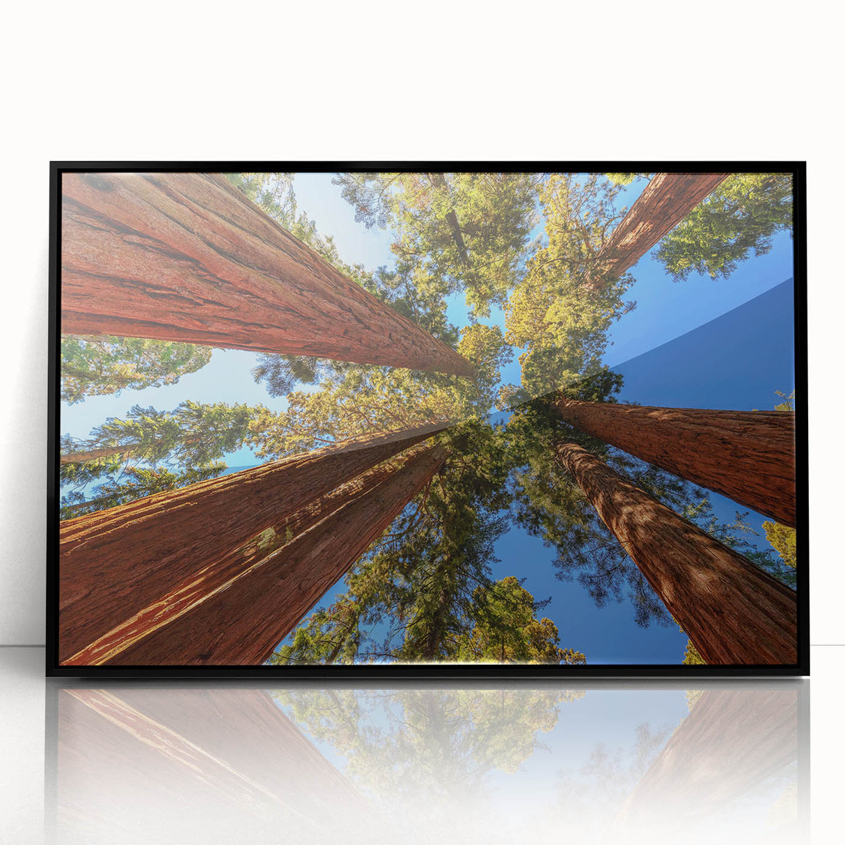 Framed wall art featuring a botanical design of vibrant redwood trees, presented in a sleek black frame, perfect for adding a touch of nature to home decor.