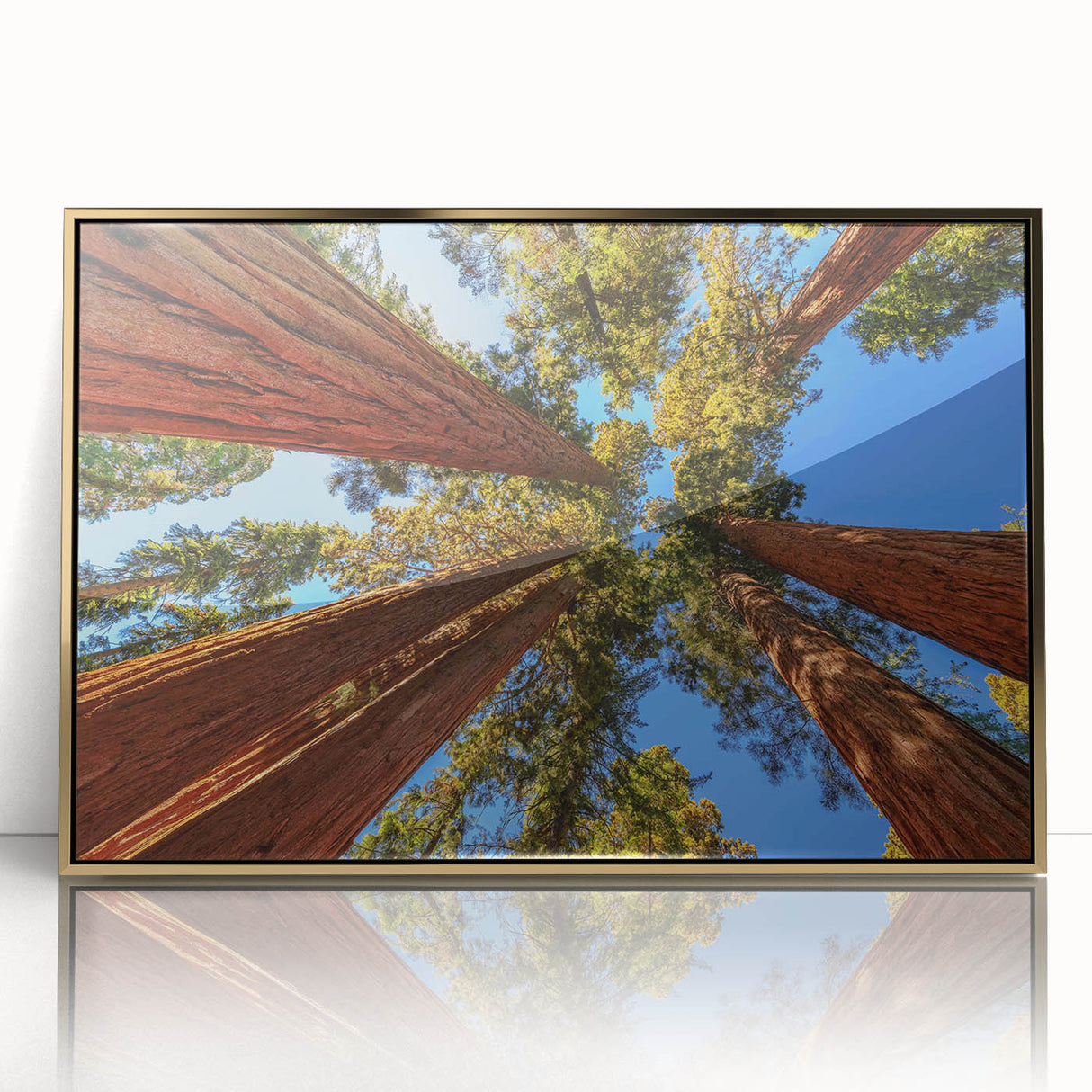 Framed botanical wall art featuring vibrant redwood trees design with gold accents, ideal for enhancing home decor and adding a touch of nature-inspired elegance.