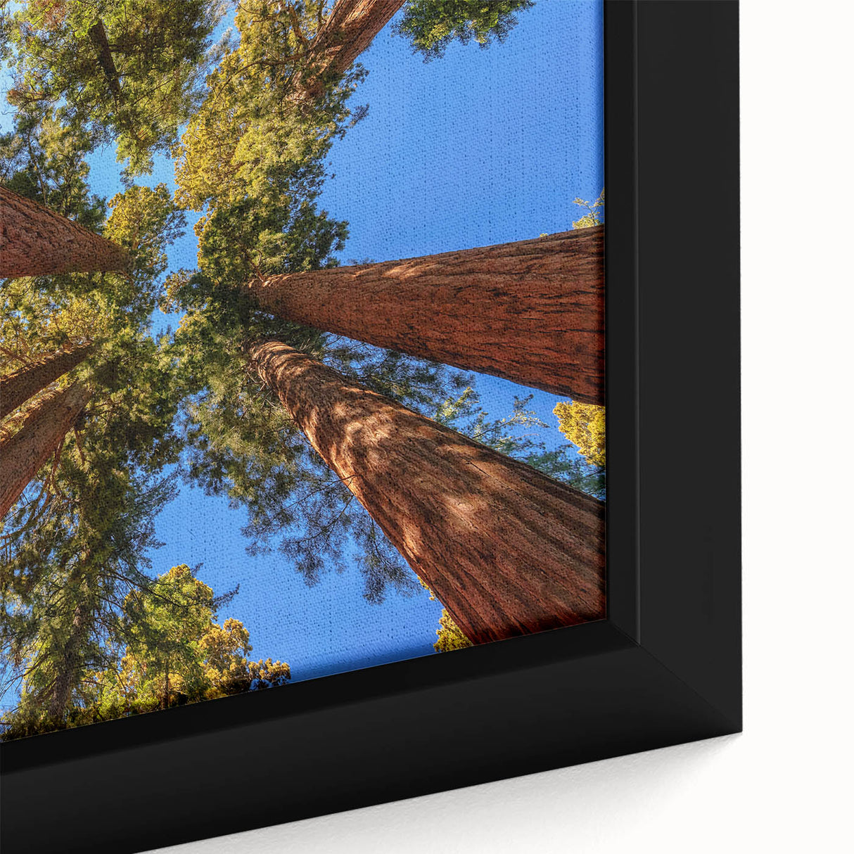 Close-up of a vibrant framed canvas wall art design featuring intricately detailed redwood trees surrounded by colorful flowers, perfect for nature enthusiasts and home decor.