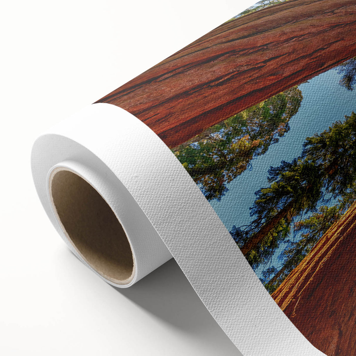 Rolled canvas wall art design showcasing a vibrant botanical scene with redwood trees, featuring rich greens and earthy tones, perfect for nature-inspired decor.