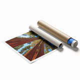 Botanical wall art print showcasing vibrant redwood trees, featuring intricate details and rich colors, rolled and ready for display in any nature-inspired decor.
