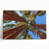 Stretched canvas wall art showcasing a vibrant botanical design of redwood trees and flowers, ideal for nature lovers and home decor enthusiasts.