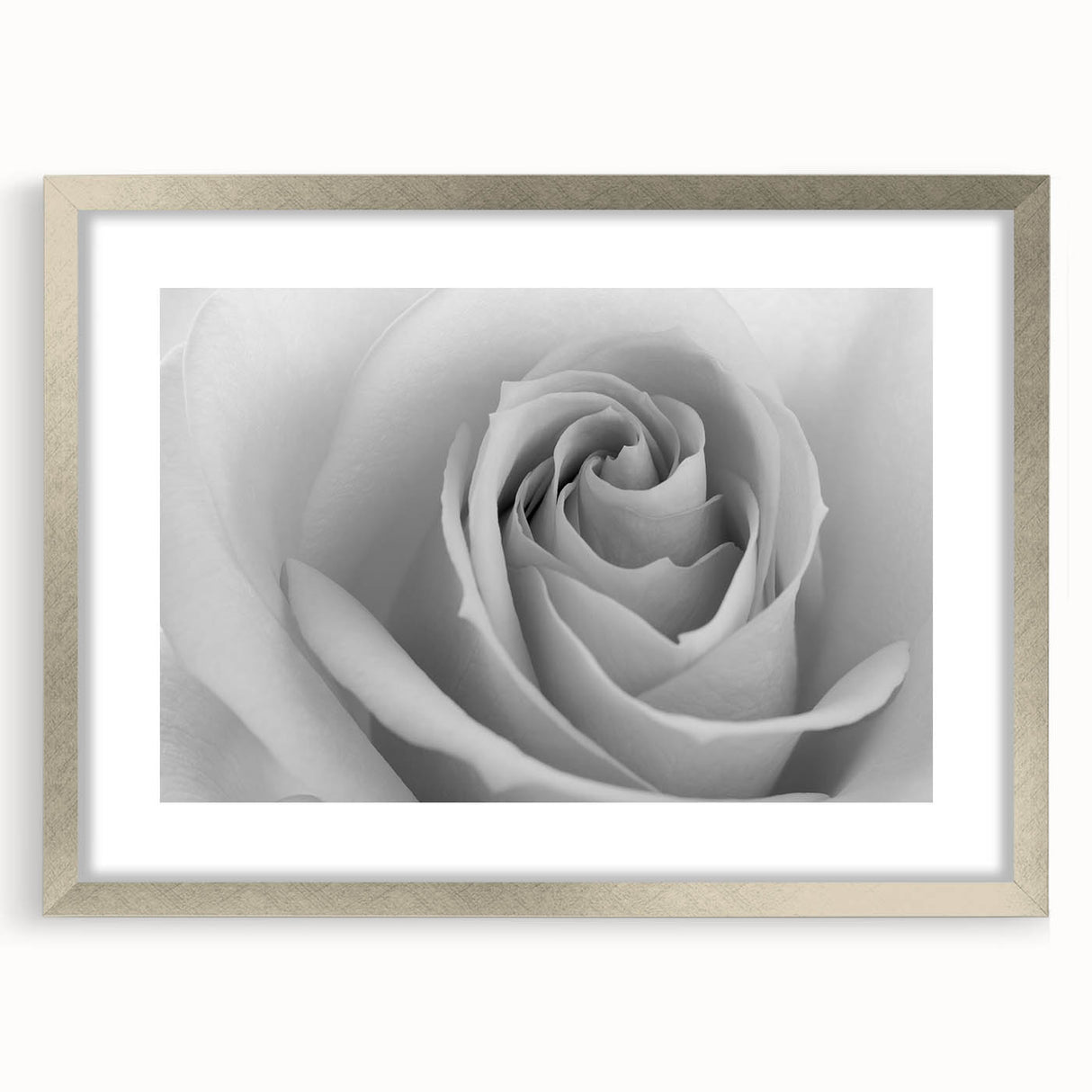 Botanical rose wall art print featuring delicate floral illustrations in soft pink and green hues, framed with a sleek silver mat for an elegant touch in home decor.