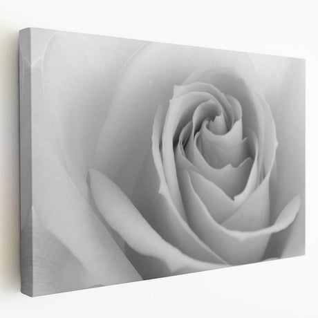 Stretched canvas wall art featuring a botanical rose design, showcasing vibrant colors and intricate details, ideal for home decor enhancement and floral enthusiasts.