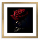 Elegant botanical rose wall art framed in gold with a mat, showcasing intricate floral designs in soft pinks and greens, perfect for home decor.