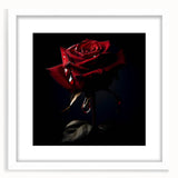 Botanical rose design wall art print in a white frame with a mat, showcasing elegant floral patterns and soft pastel colors, ideal for home decor.