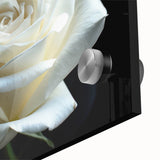 Close-up of a botanical rose wall art piece, showcasing vibrant colors and intricate details on acrylic glass, perfect for home décor or floral-themed design.