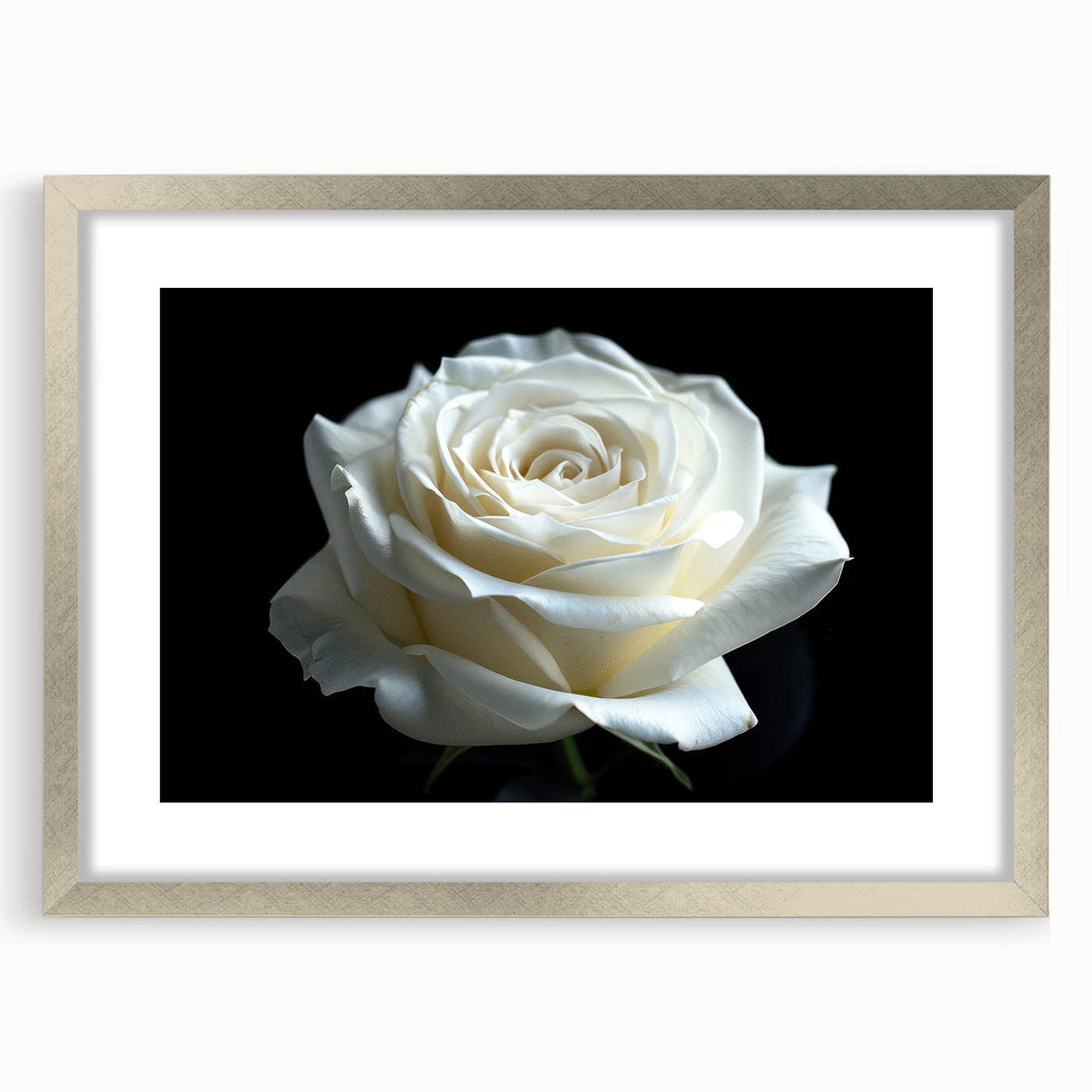 Botanical rose design wall art framed in silver, showcasing intricate floral details and vibrant colors, perfect for enhancing home decor with elegance.