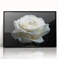 Framed acrylic wall art featuring a botanical rose design with vibrant colors, showcasing intricate floral details against a sleek black frame, perfect for home decor.
