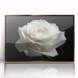 Framed wall art featuring a botanical rose design with vibrant colors, elegantly presented in a gold-accented frame, ideal for home decor enhancement.