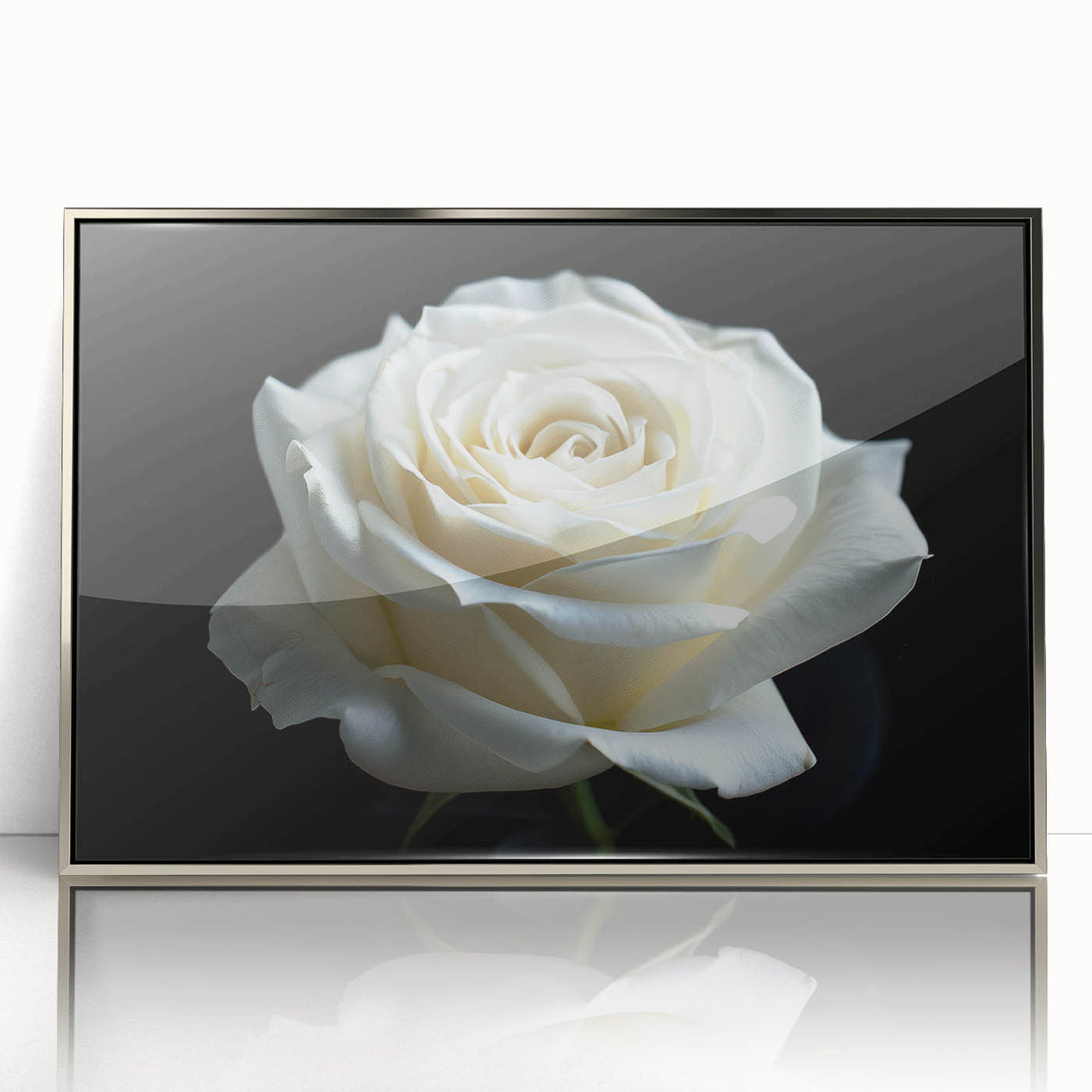 Framed acrylic wall art featuring a botanical rose design, showcasing intricate floral details in soft pink and green hues, set in a stylish silver frame.