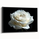 Framed wall art showcasing a botanical rose design on canvas, featuring a black frame and showcasing intricate floral details, perfect for elegant home decor.