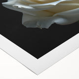 Botanical wall art showcasing a vibrant rose design on rolled canvas, ideal for home decor. The artwork features rich colors and intricate detailing, perfect for floral enthusiasts.