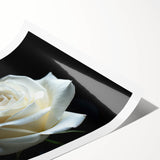 Botanical wall art print showcasing a delicate rose design with intricate details, ideal for home decor. Rolled and ready for framing, featuring soft pastel colors.