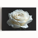 Stretched canvas wall art showcasing a botanical rose design in vibrant colors, perfect for home decor. Ideal for adding a touch of nature to any room.
