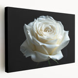Stretched canvas wall art showcasing an intricate botanical rose design, featuring vibrant colors and detailed floral elements, ideal for home decor.