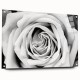 Acrylic glass wall art showcasing a botanical rose design, elegantly framed and displayed from the side, with visible mounting pins for easy hanging. Bright colors and intricate details enhance any room's decor.