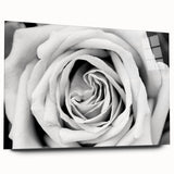Botanical wall art featuring a side view of a beautiful acrylic glass design showcasing vibrant roses, perfect for home decor or floral-themed interiors.