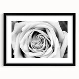 Botanical rose wall art design showcasing pink and white roses in a sleek black frame with a mat, ideal for enhancing home decor and adding a touch of elegance.
