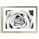 Botanical rose wall art design framed in silver, showcasing intricate floral details and soft pastel colors, perfect for home decor or gift giving.