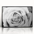 Framed wall art featuring a botanical rose design in vibrant colors, showcasing intricate floral details on a black background, perfect for modern home decor.