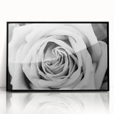 Framed wall art featuring a botanical rose design in vibrant colors, showcasing intricate floral details on a black background, perfect for modern home decor.
