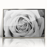 Framed acrylic wall art featuring a botanical rose design in silver, showcasing vibrant colors and intricate details, perfect for home decor and floral enthusiasts.
