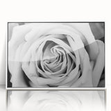 Framed botanical wall art showcasing a delicate rose design in soft pink and white hues, elegantly displayed with a sleek white frame, perfect for home decor.