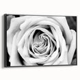 Framed wall art featuring a botanical rose design on black canvas, showcasing vibrant floral details and a sleek side view, perfect for home decor.