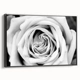 Framed wall art featuring a botanical rose design on black canvas, showcasing vibrant floral details and a sleek side view, perfect for home decor.