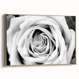 Framed wall art showcasing a botanical rose design, featuring intricate floral details and a luxurious gold frame, perfect for home decor enhancement.
