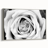 Framed canvas wall art showcasing a botanical rose design in a silver frame, elegantly displayed from a side view, perfect for home decor and floral enthusiasts.