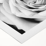 Botanical rose design wall art on rolled canvas, showcasing vibrant pink and green hues, perfect for enhancing home decor with a touch of nature.