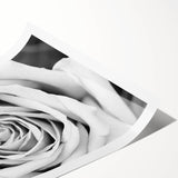 Botanical rose design wall art print showcasing delicate pink and white flowers on a soft green background, perfect for home decor or gifting.