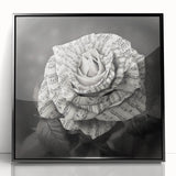 Framed wall art featuring a botanical rose design with vibrant colors, set against a sleek black frame, perfect for home decor or floral-themed interiors.